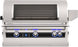 Fire Magic Echelon rotisserie grill with thermometer